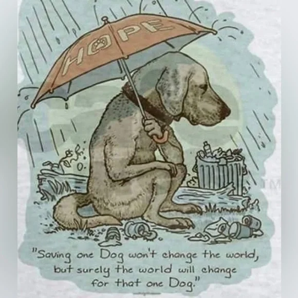 Watch videos on our listings so you can see what you are purchasing. 💖🐩🐶🌻♥️ - Picture 6 of 7